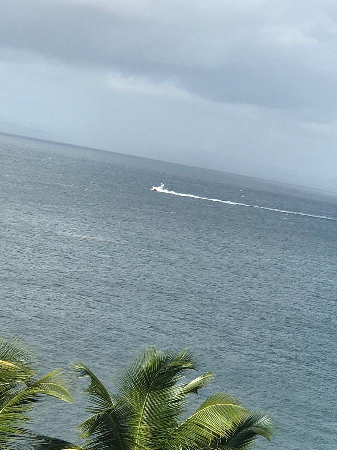 Vista Mare Spectacular Ocean View Top Floor 1-Bedroom Condo, Samana Εξωτερικό φωτογραφία
